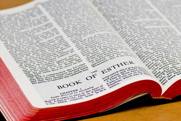 Bible Page - Esther