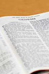 Bible Page - Genesis
