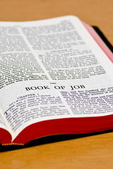 Bible Page - Job