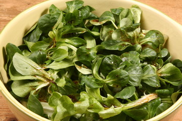 salade verte