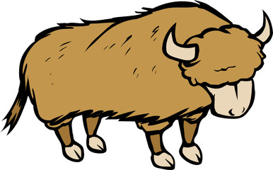 buffalo