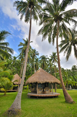 Cottage in Coconut Palms