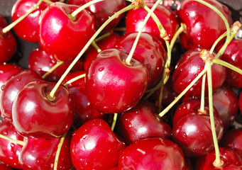 Wet wild cherries