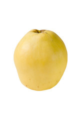 Quince isolated on white with clipping path