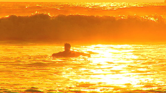 Surfer  At Sunset