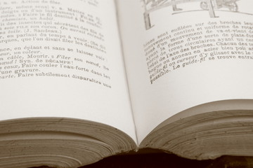 Fototapeta premium Dictionnaire ancien