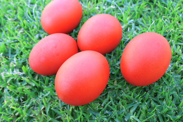 Fototapeta na wymiar Easter red eggs