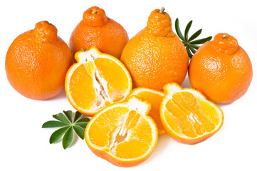 orange