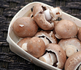 Braune Champignons