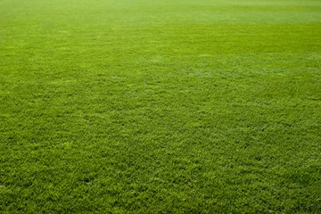 Fototapeten Grüne Grasbeschaffenheit eines Fußballfeldes. © nexusseven