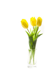 Three yellow tulips in the vase