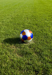Plakat Soccer Ball on Green Grass