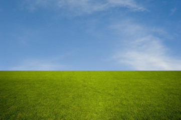 Green Grass and The Blue Sky