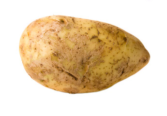 Potato on White Background
