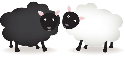 Black and white sheep