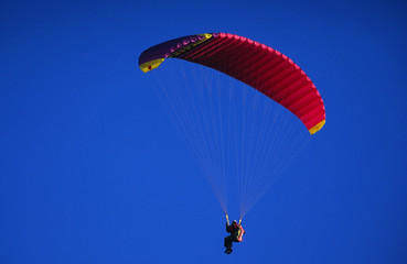 paraglider