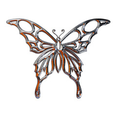 Ilustracion de una Mariposa realizada en cromo - 12080130