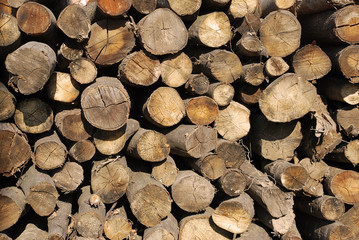 Wood pile