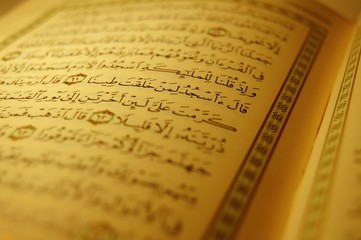 Holy Quran © Ahmed Elnagdy