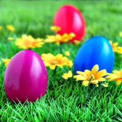 drei ostereier auf blumenwiese