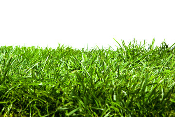 Green Grass isolated on White