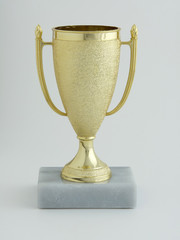 Fototapeta na wymiar Small Gold Colored Trophy Cup