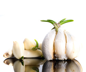 Fresh segments of garlic
