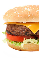 Tasty Hamburger