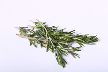 Rosmarinzweig