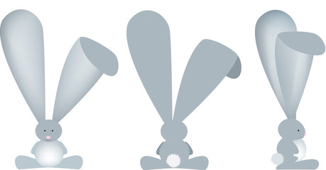 Illustration of a bunny all angles