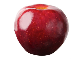 Perfect Red Apple Isolated on White