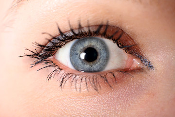 Obraz premium eye