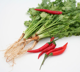 Koriander und Chilies