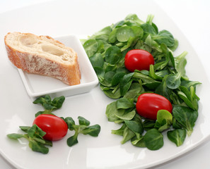 Feldsalat