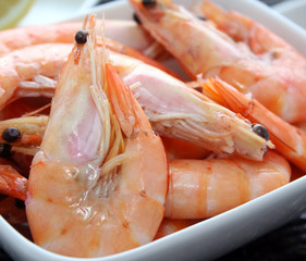 Frische Garnelen