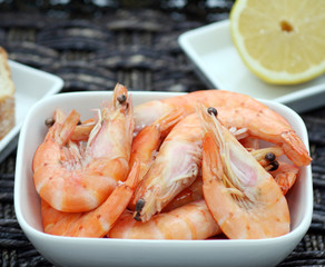 Garnelen