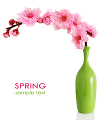 Blooming spring cherry branch in vase - 12095713