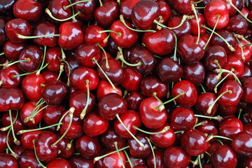 red cherry