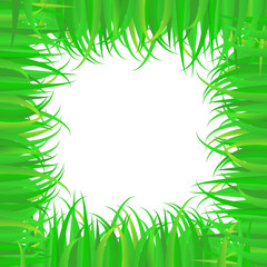 Fototapeta premium spring frame of green grass