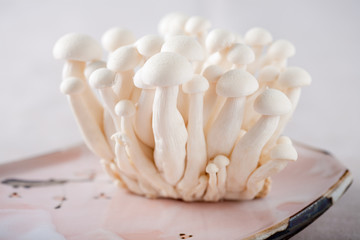 Shimeji mushrooms