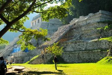 Foto op Canvas palenque © hattiney