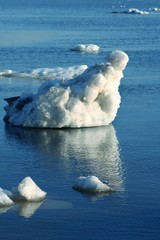 Drifting Ice on river © elen_studio