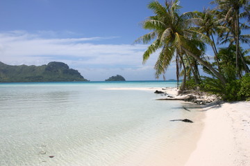 Fototapeta na wymiar Tahiti1