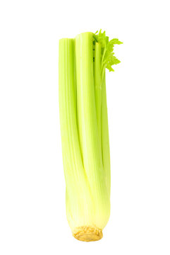 Green selery 1