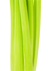 Green celery 6.