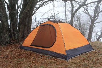 Yellow tent in the forest