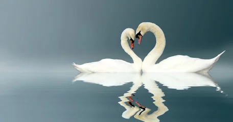 Door stickers For her Love Swans