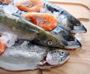 frischer Fisch