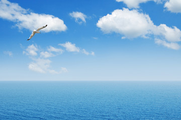 sea