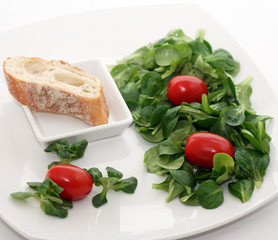 Feldsalat